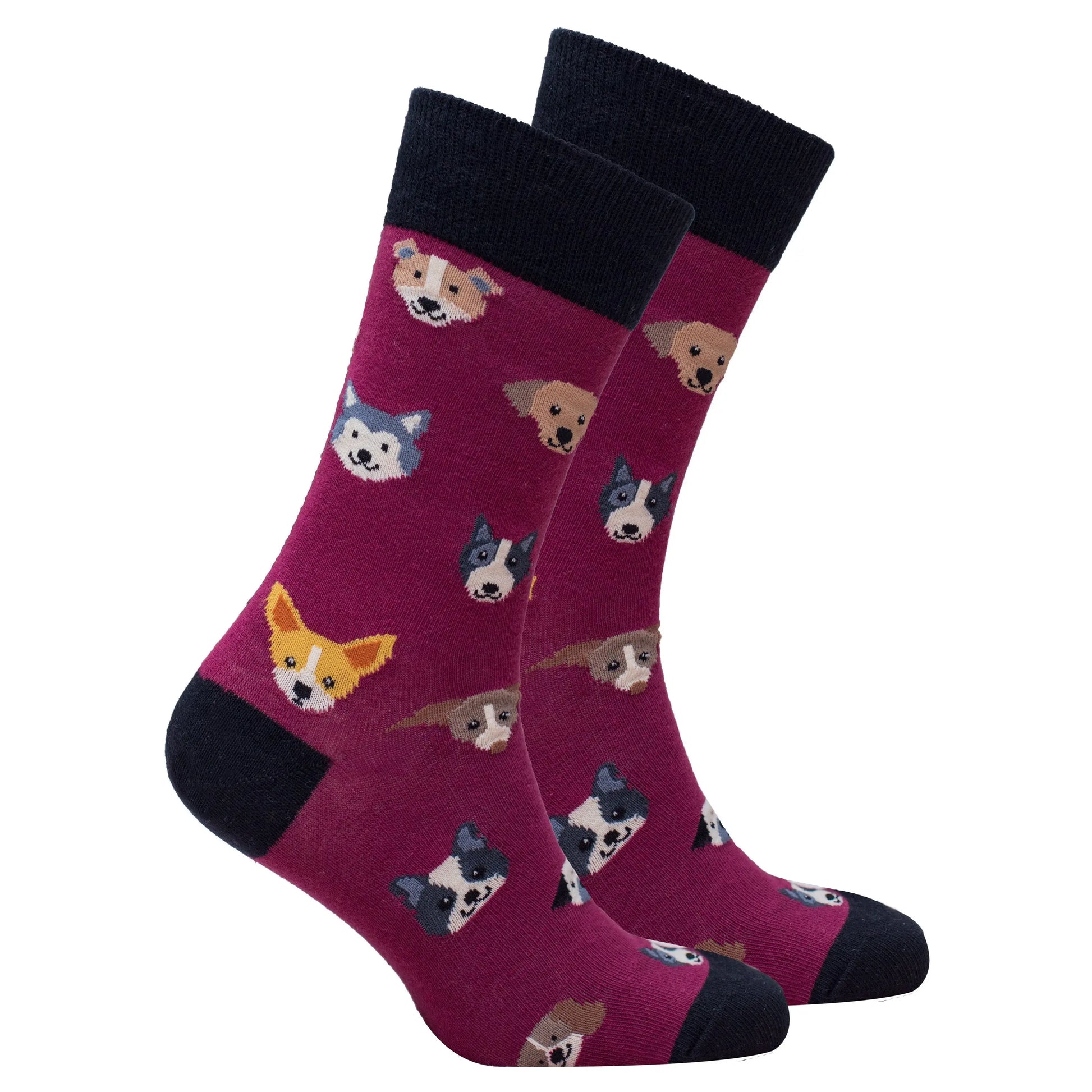 Men's Dogs Socks Orchid Erebus