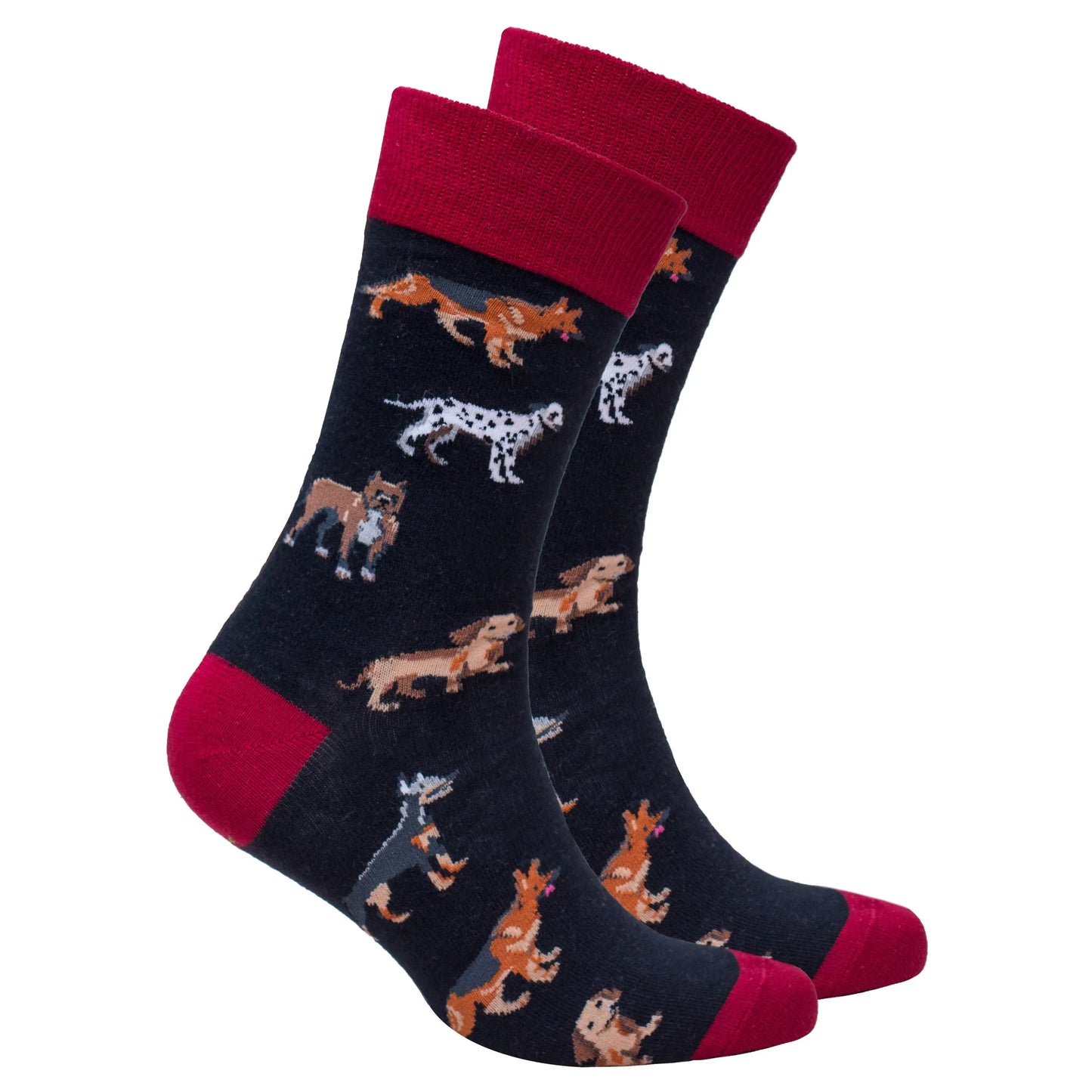 Men's Dogs Socks Orchid Erebus