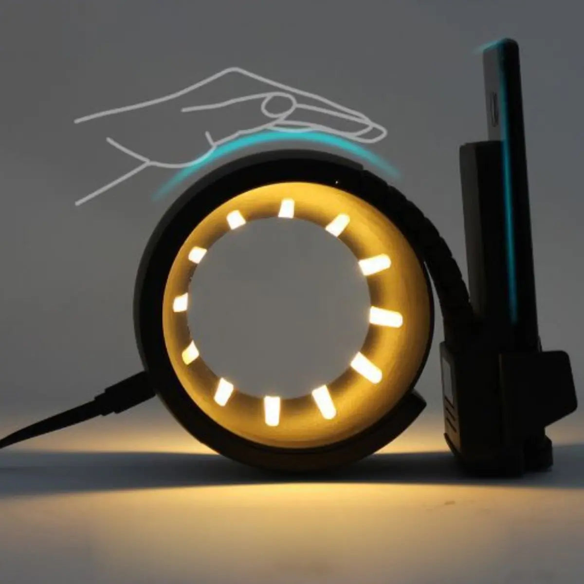 Wheel of Power Wireless Charger Salmon Lucky