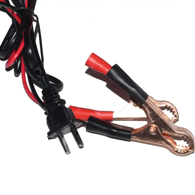 Maintenance Free Battery Charger Puce Gaia