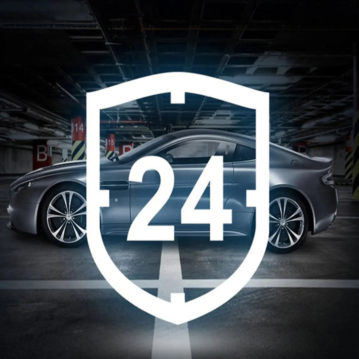 Car Dash Cam Salmon Lucky